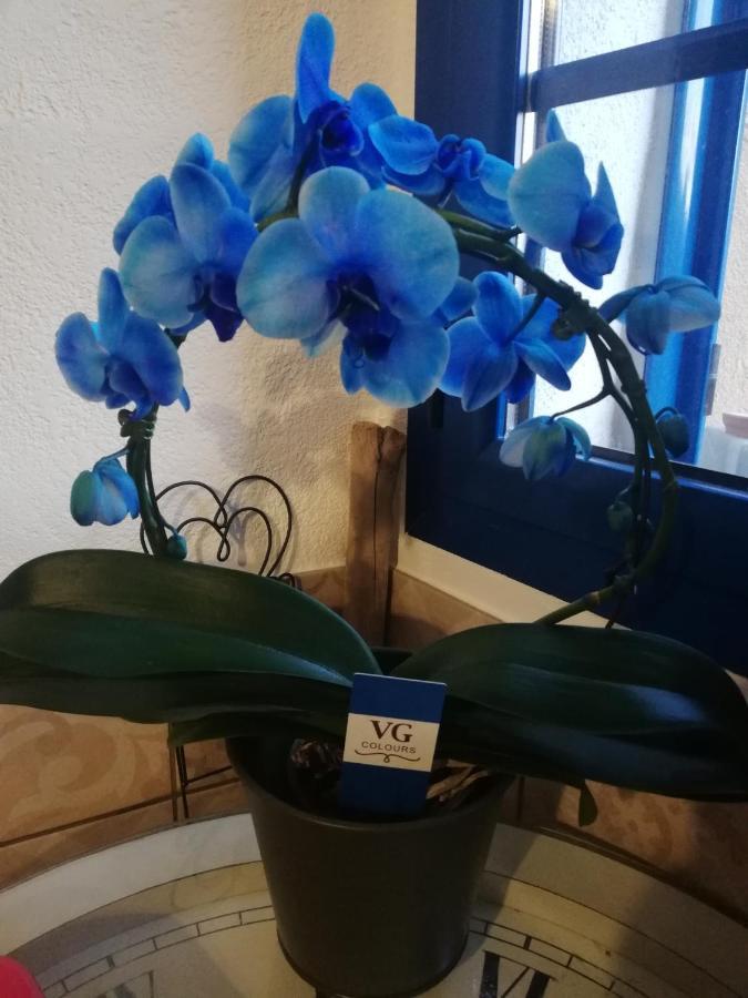 Hotel Parfumu Di Celu Santa-Lucia-di-Mercurio Esterno foto